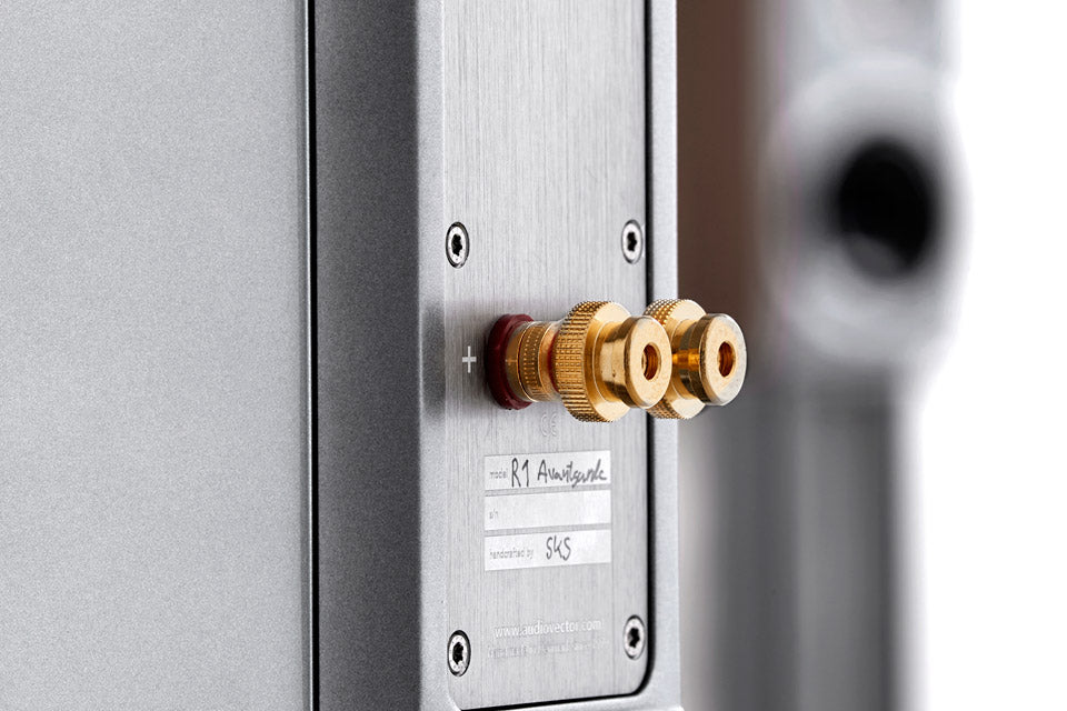 Audiovector R1 Avantgarde
