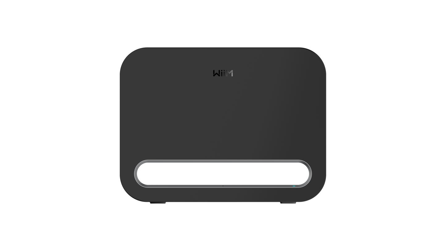 WiiM Sub Pro